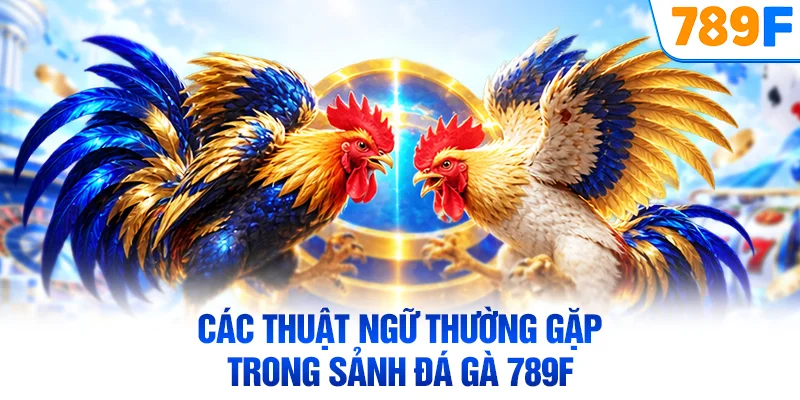 Các thuật ngữ thường gặp trong sảnh đá gà 789F