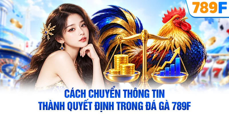 Cách chuyển thông tin thành quyết định trong đá gà 789F